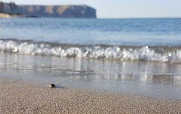 Acogedor Y Precioso Atico En Javea Primera Linea Playa Exteriér fotografie
